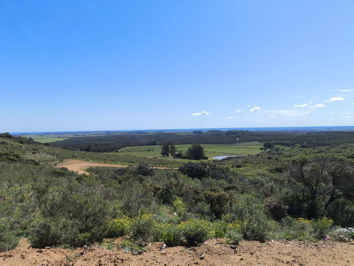 Chacra en Minas, propiedad 275741 -Imagen 16