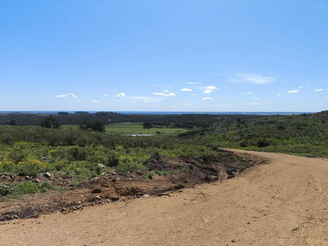 Chacra en Minas, propiedad 275741 -Imagen 4