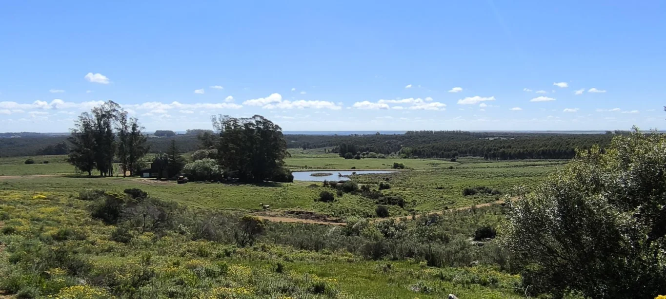 Chacra en Minas, propiedad 275741 -Imagen 6