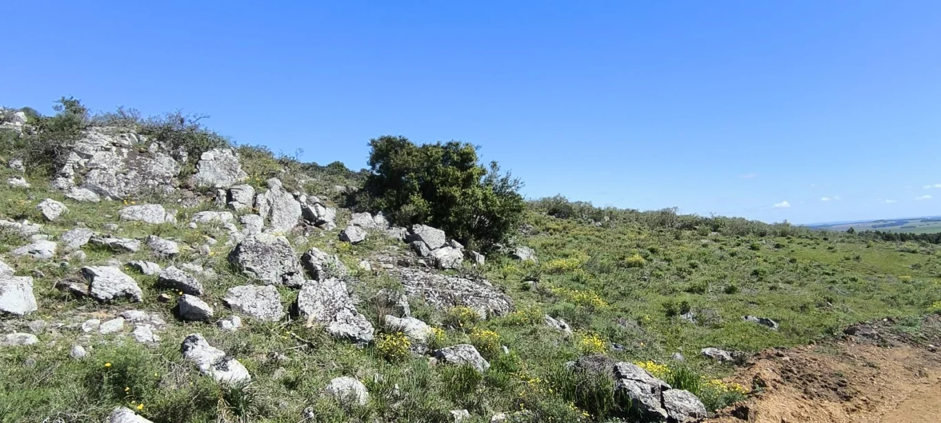 Chacra en Minas, propiedad 275741 -Imagen 8