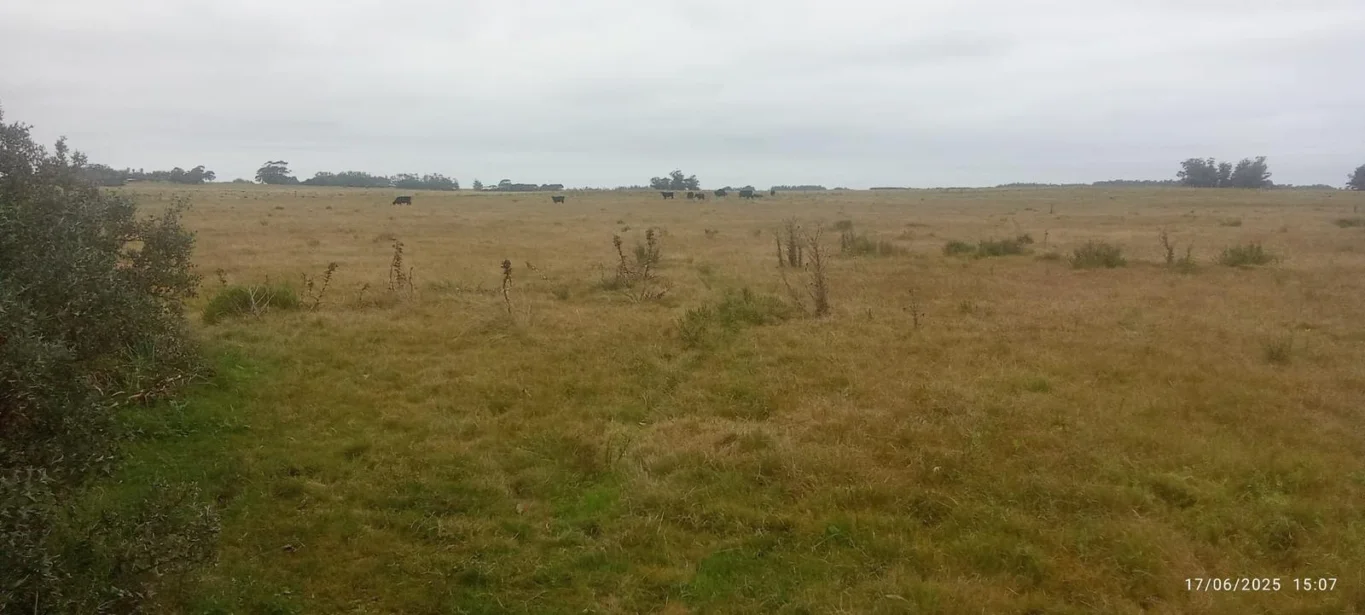 Campo en La Paloma, propiedad 282035 -Imagen 1