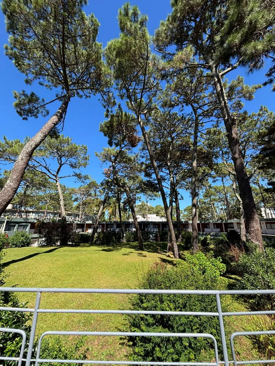 Apartamento en Playa Mansa, propiedad 286182 -Imagen 9