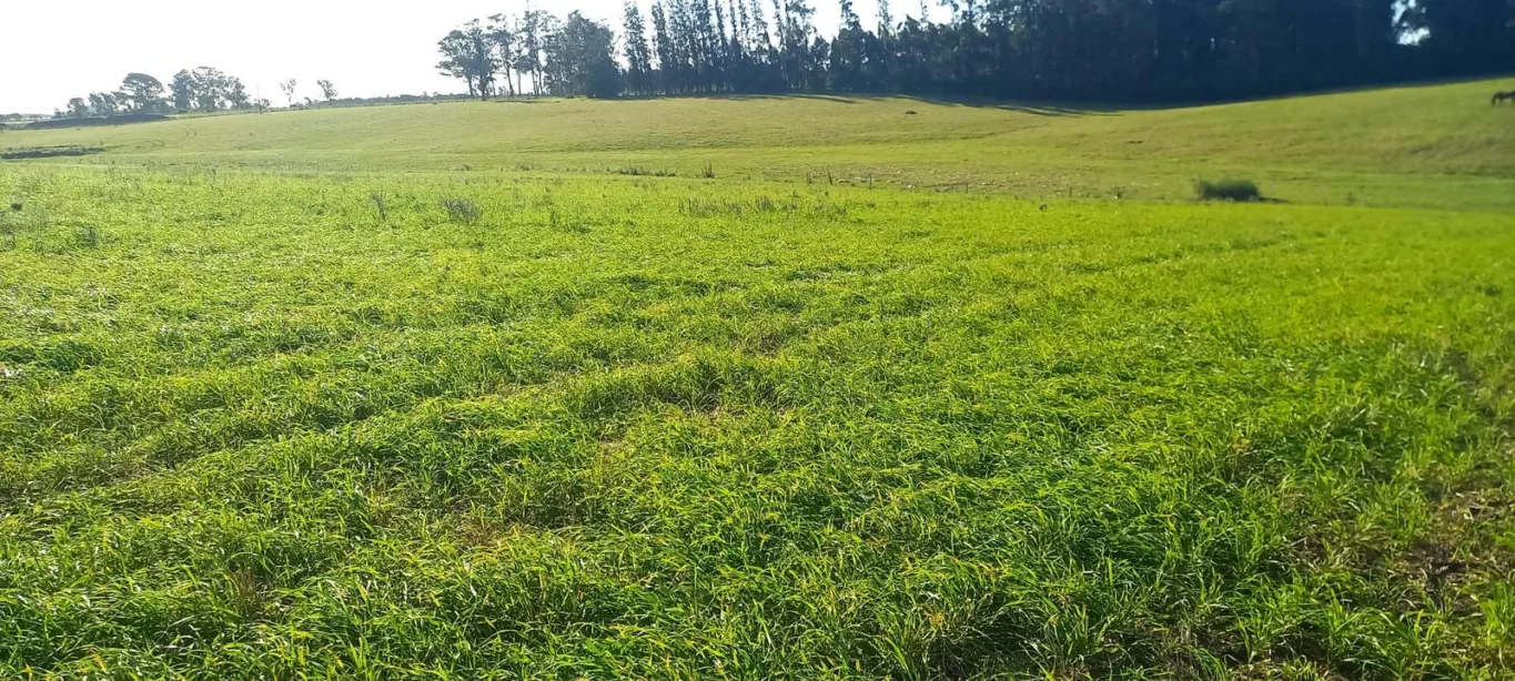 Campo en Rocha, propiedad 286205 -Imagen 1