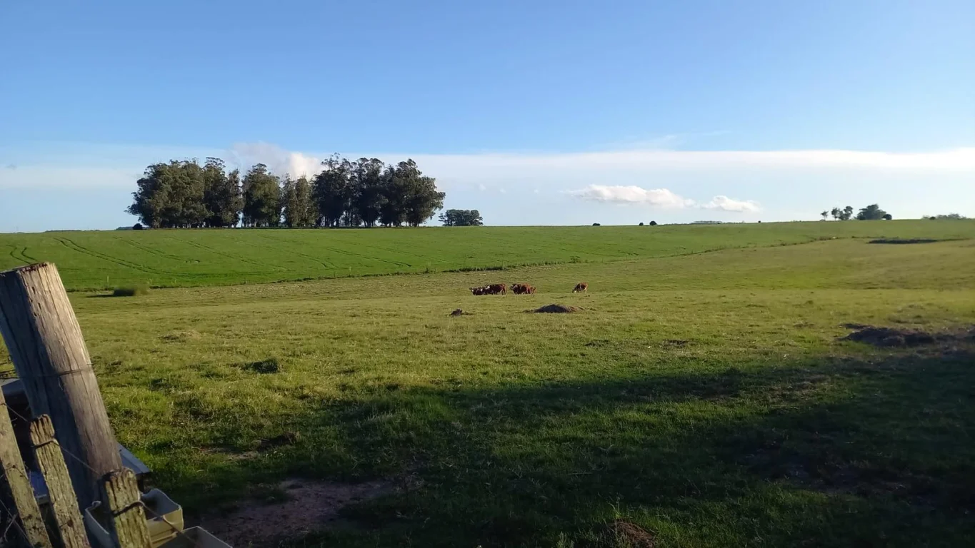 Campo en Rocha, propiedad 286205 -Imagen 11