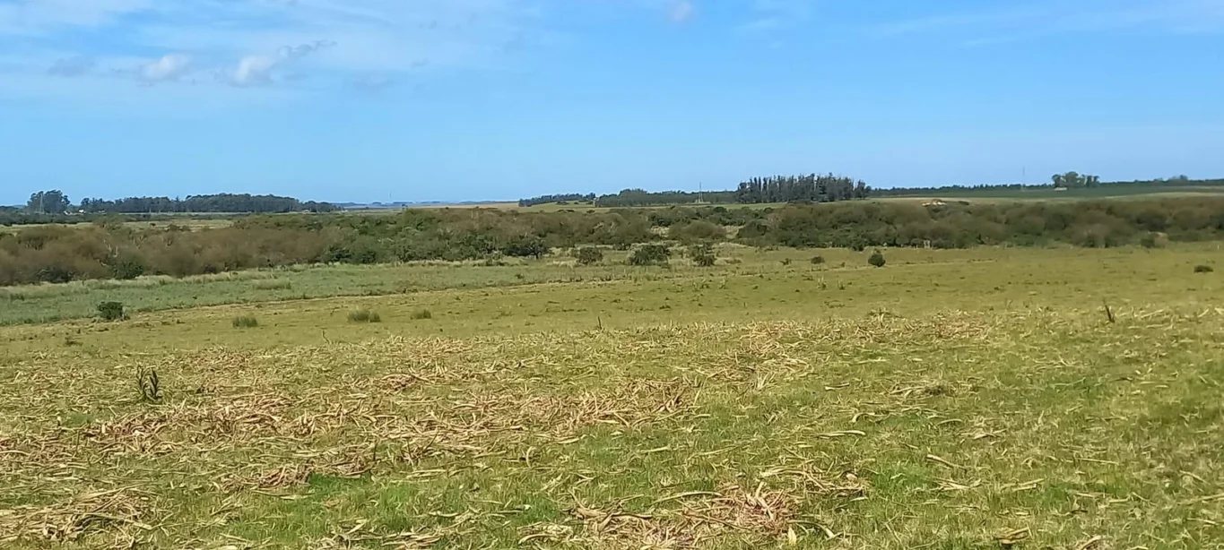 Campo en Rocha, propiedad 286205 -Imagen 13