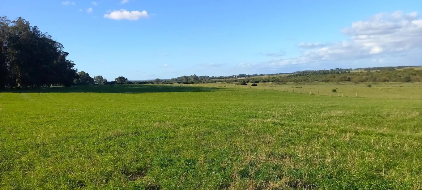 Campo en Rocha, propiedad 286205 -Imagen 14