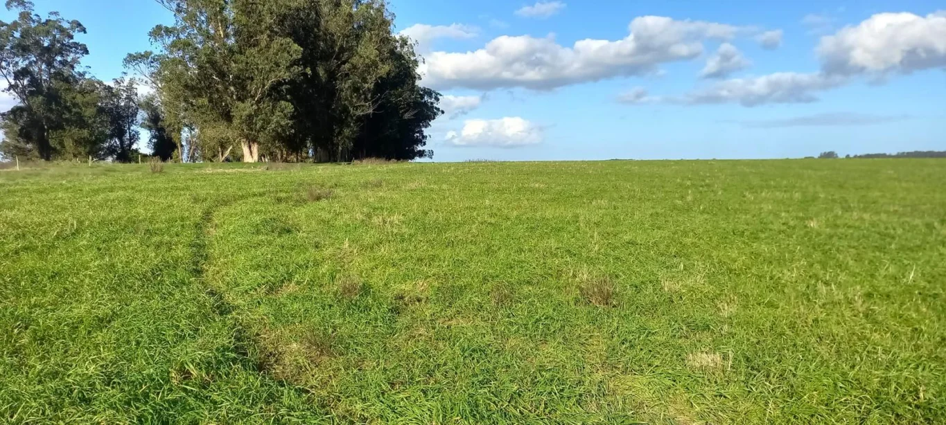 Campo en Rocha, propiedad 286205 -Imagen 16