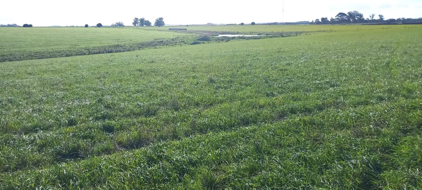 Campo en Rocha, propiedad 286205 -Imagen 17