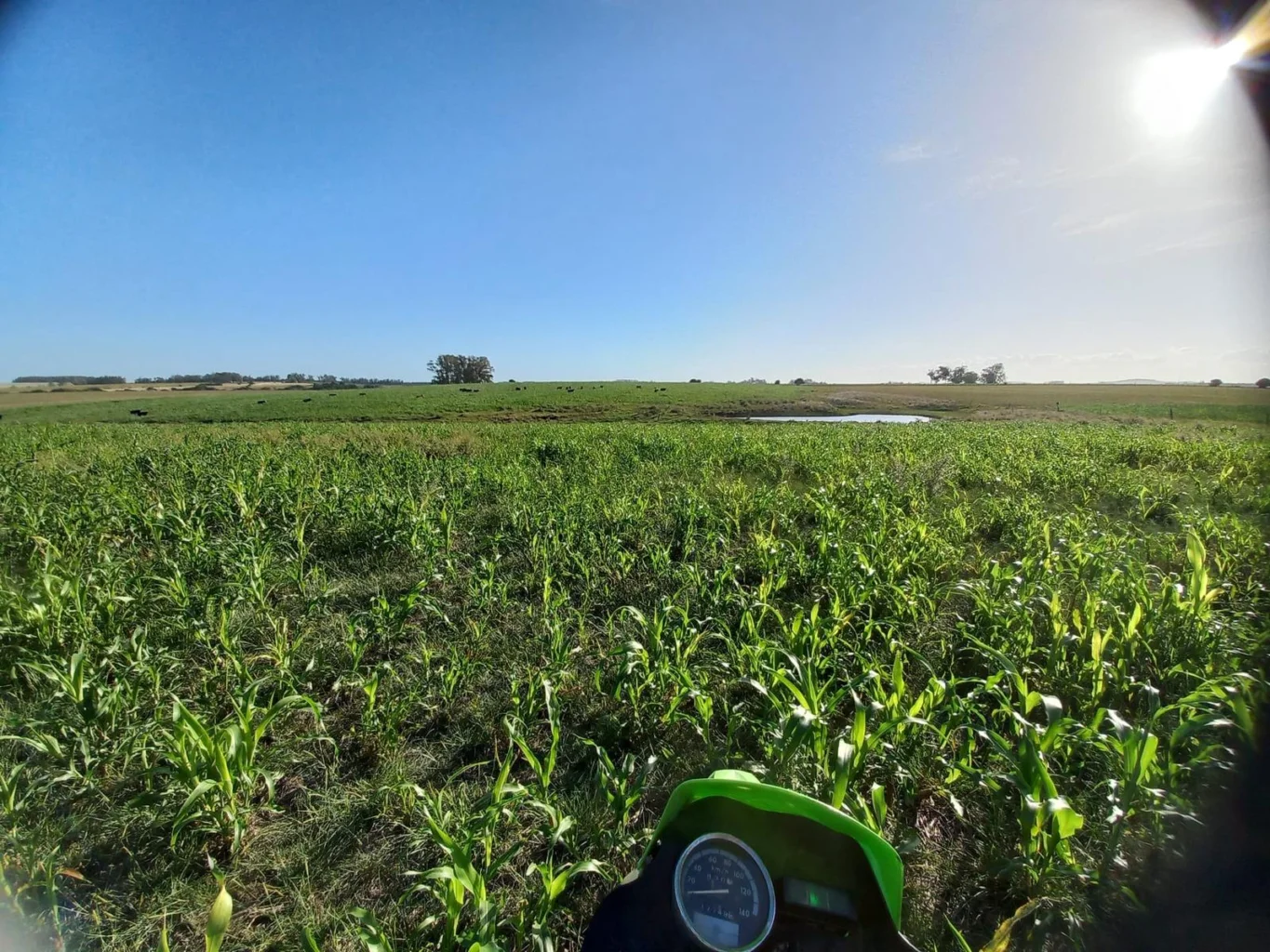 Campo en Rocha, propiedad 286205 -Imagen 19