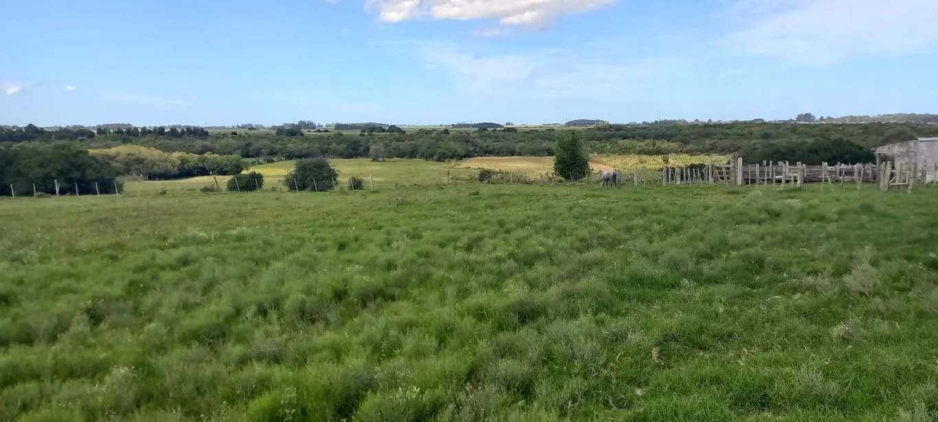 Campo en Rocha, propiedad 286205 -Imagen 3