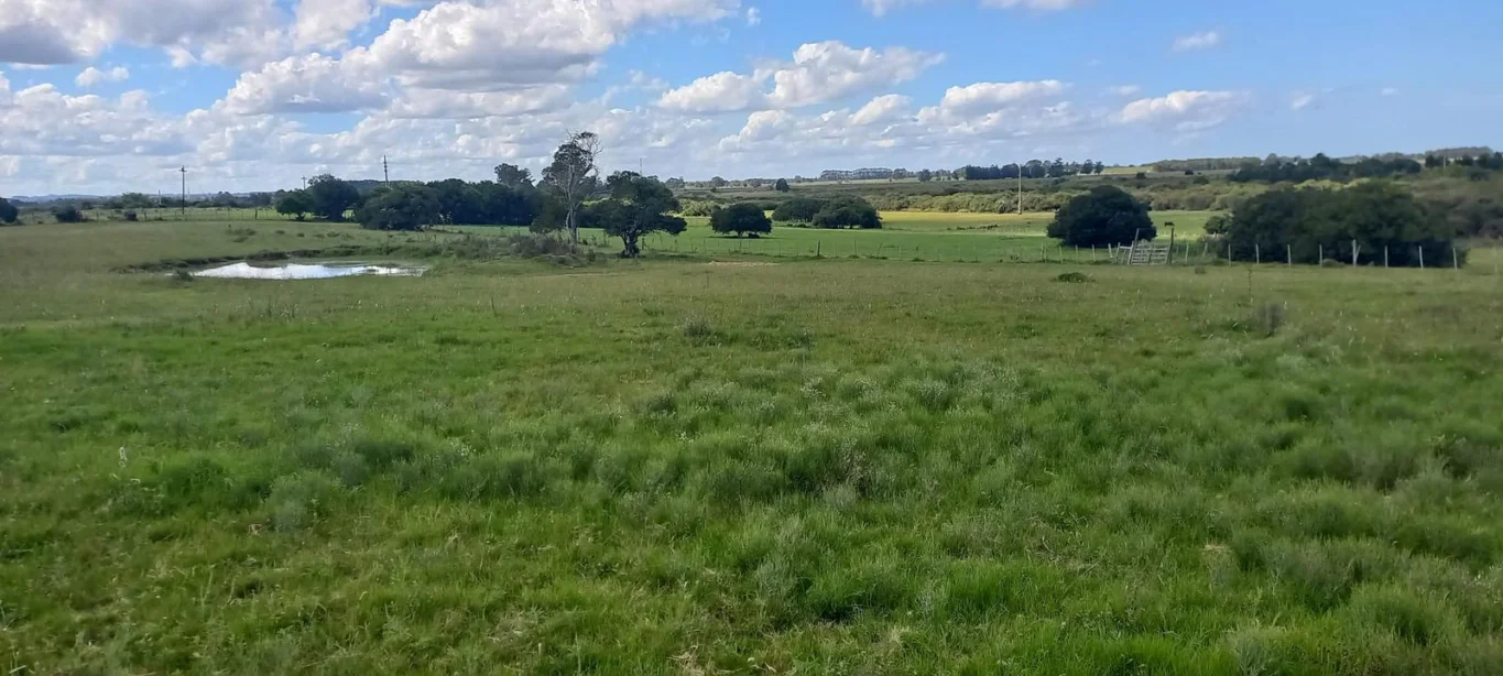 Campo en Rocha, propiedad 286205 -Imagen 4
