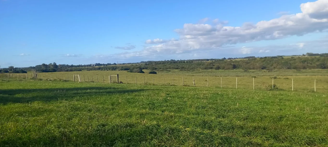 Campo en Rocha, propiedad 286205 -Imagen 5