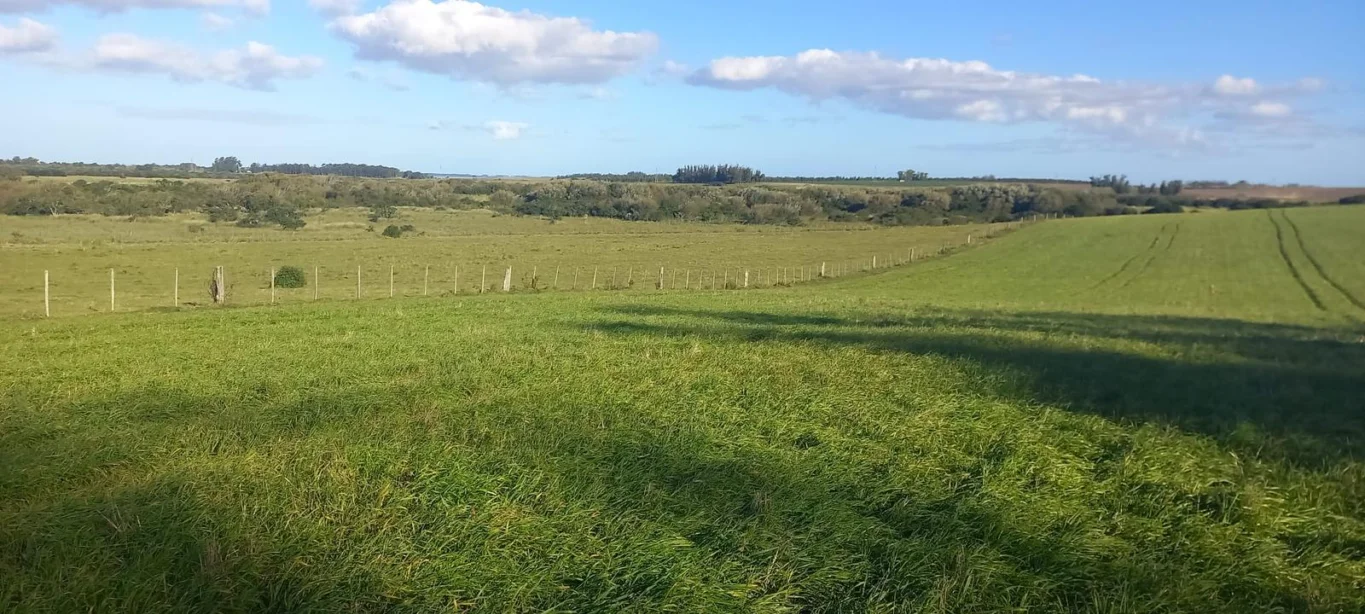 Campo en Rocha, propiedad 286205 -Imagen 6