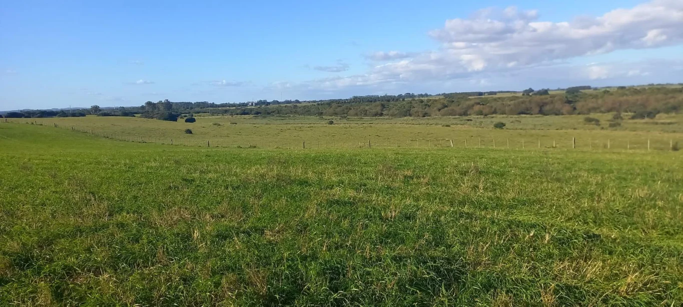 Campo en Rocha, propiedad 286205 -Imagen 8