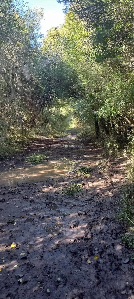 Campo en Rocha, propiedad 286205 -Imagen 9