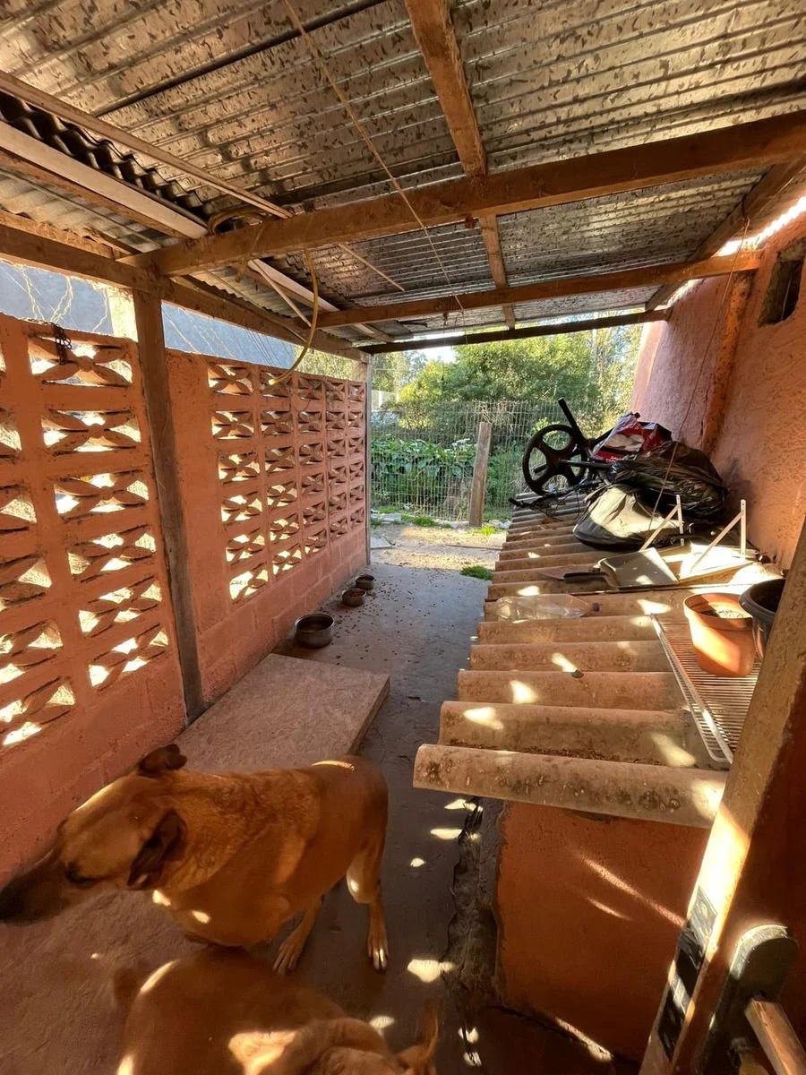 Casa en Lago Merín, propiedad 287147 -Imagen 6