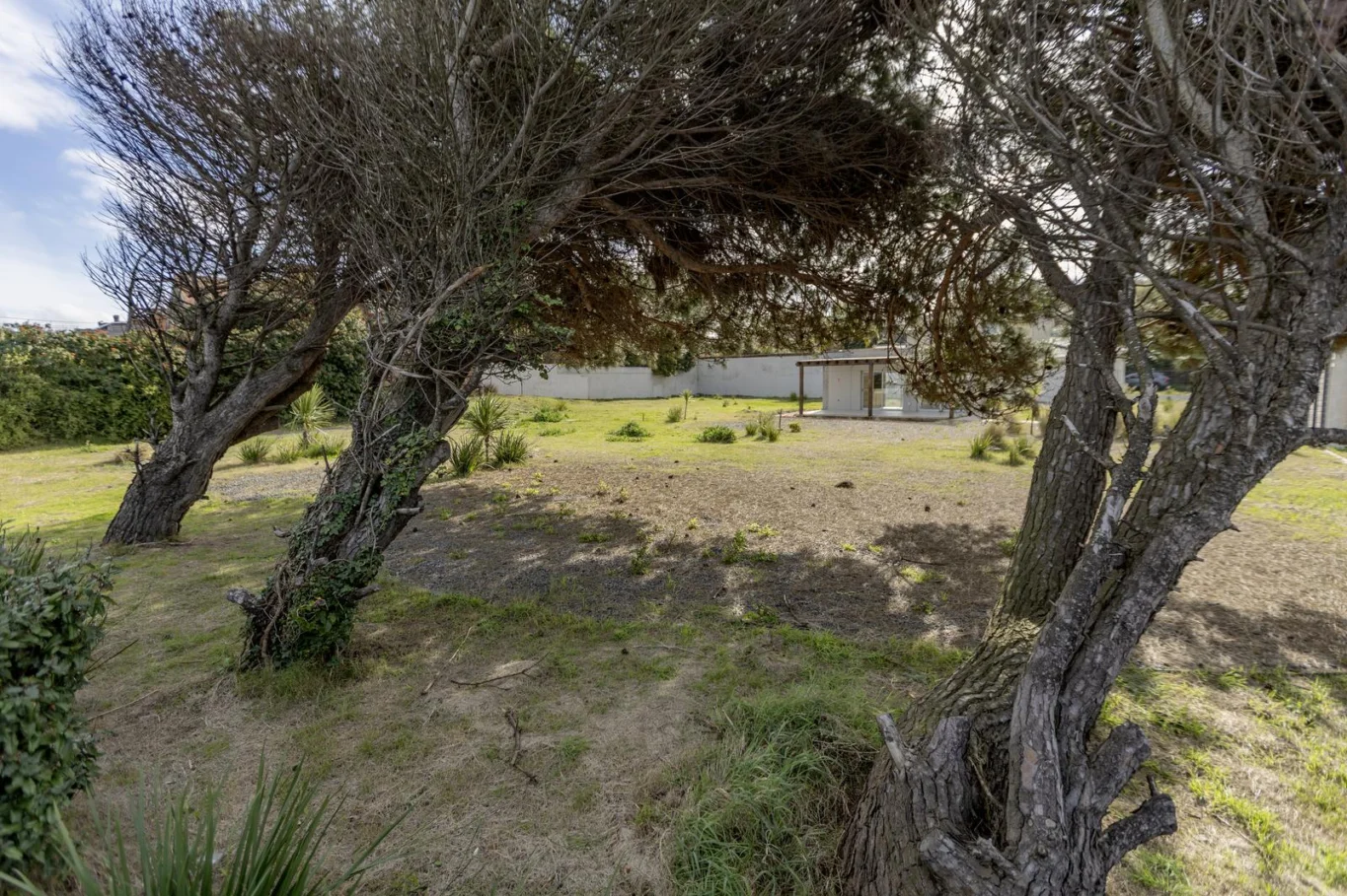 Terreno en Carrasco, propiedad 287478 -Imagen 5