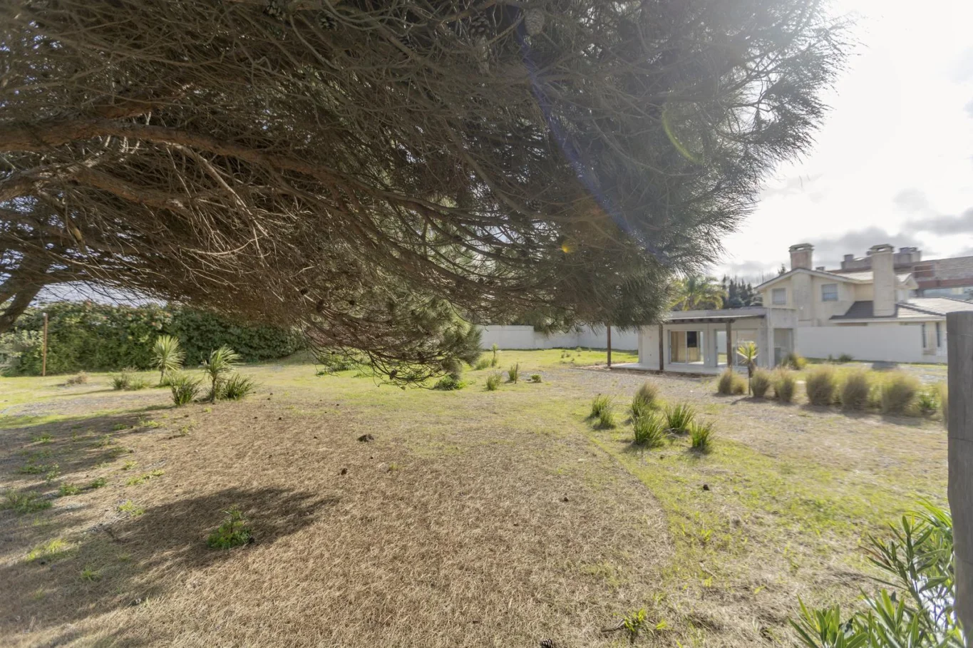 Terreno en Carrasco, propiedad 287478 -Imagen 8