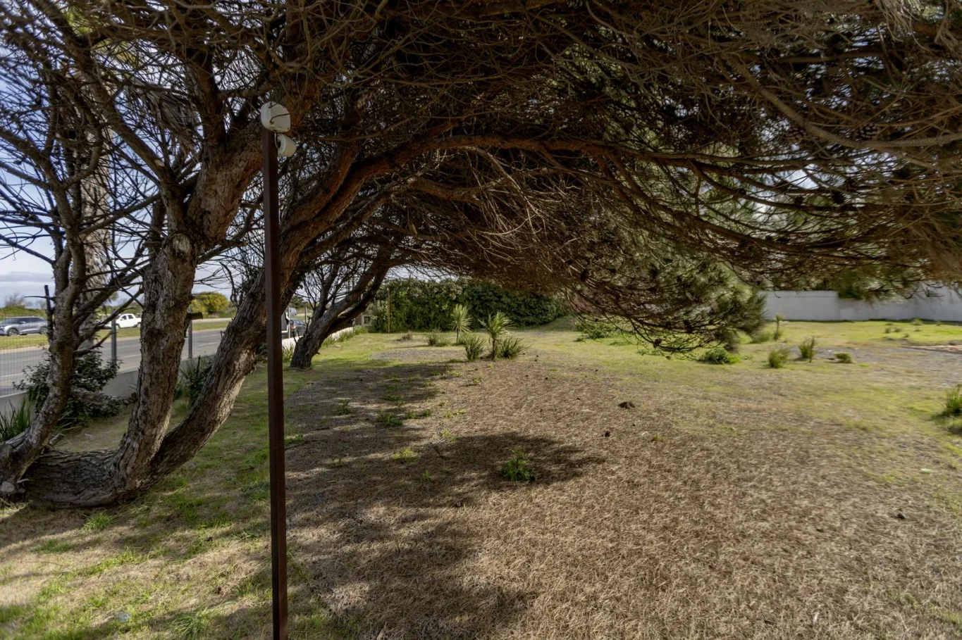 Terreno en Carrasco, propiedad 287478 -Imagen 9