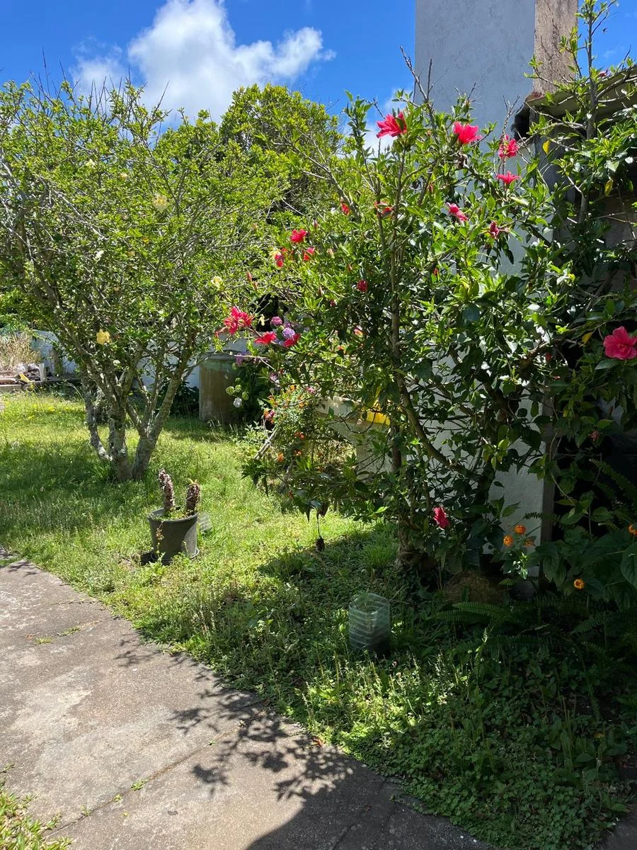 Casa en La Paloma, propiedad 288334 -Imagen 11