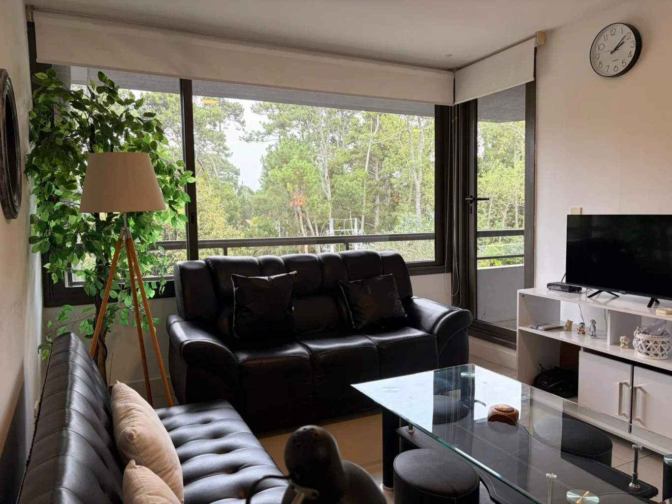Apartamento en Punta del Este, propiedad 254159 -Imagen 1
