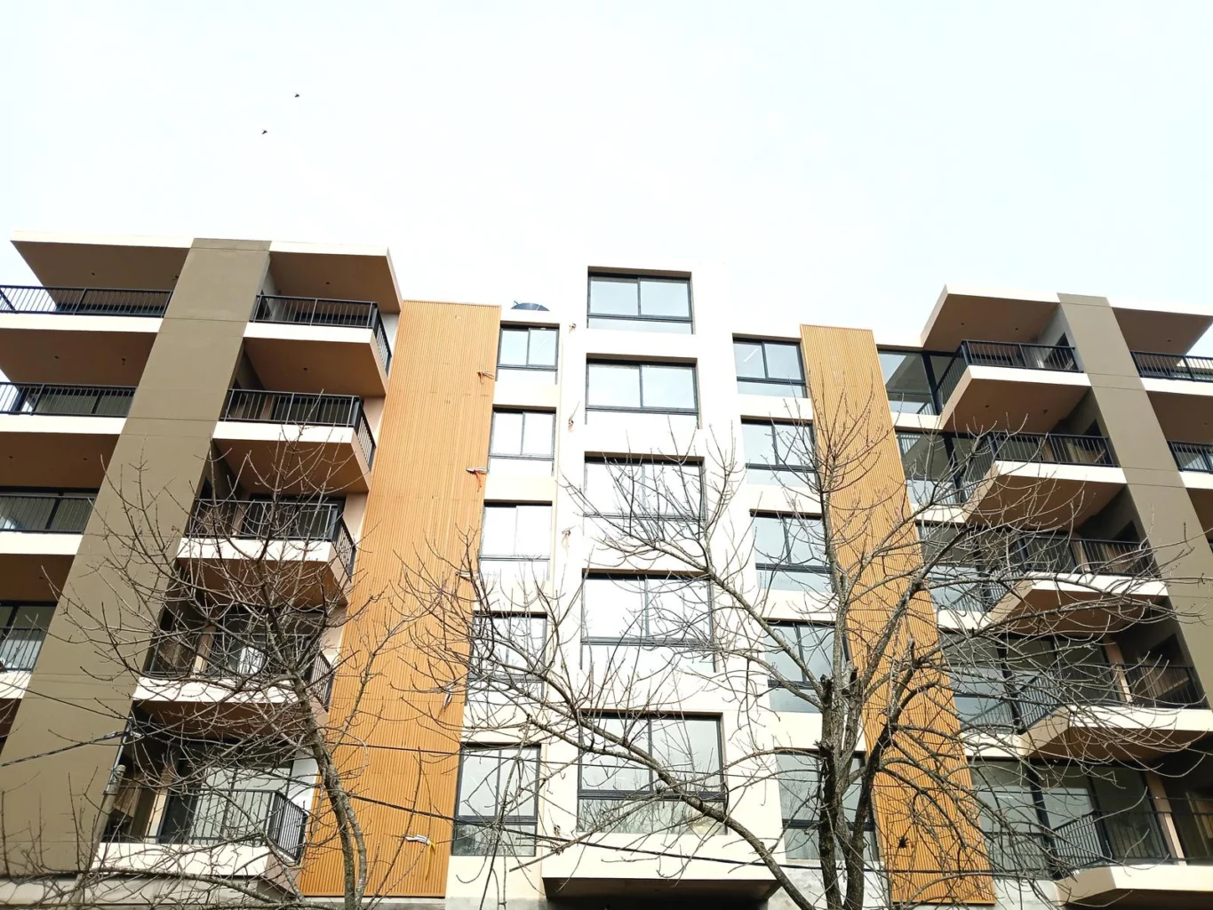 Apartamento en Roosevelt, propiedad 289046 -Imagen 3