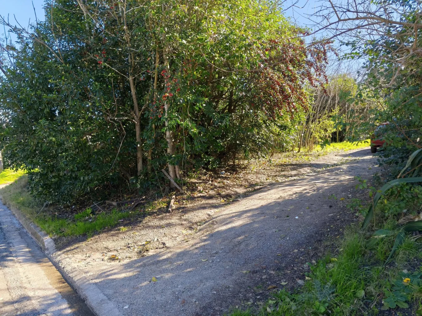 Terreno en Nueva Helvecia, propiedad 289127 -Imagen 2