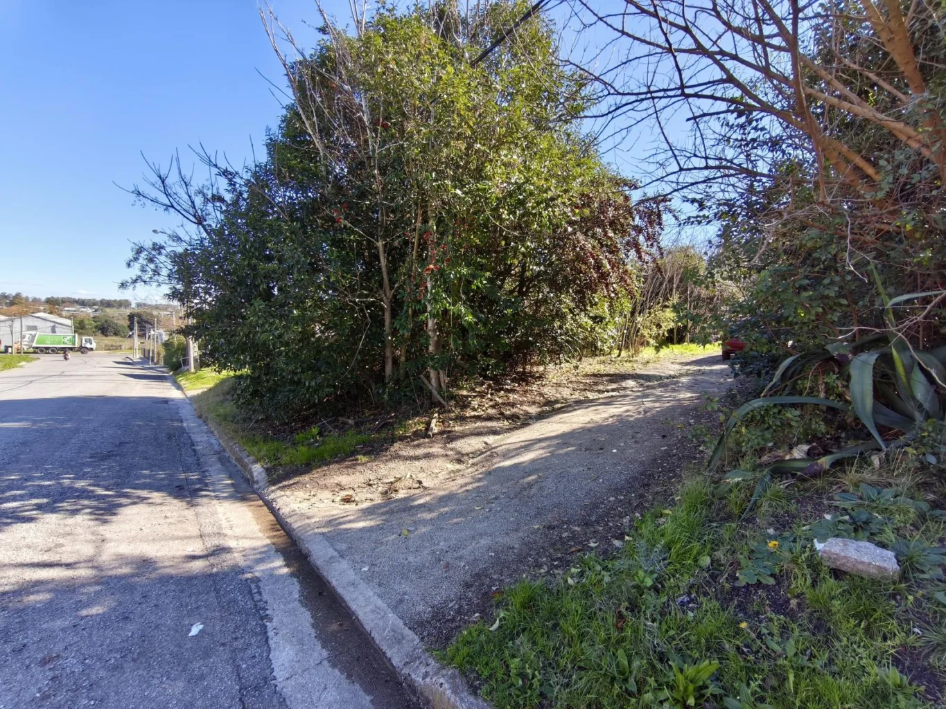 Terreno en Nueva Helvecia, propiedad 289127 -Imagen 3