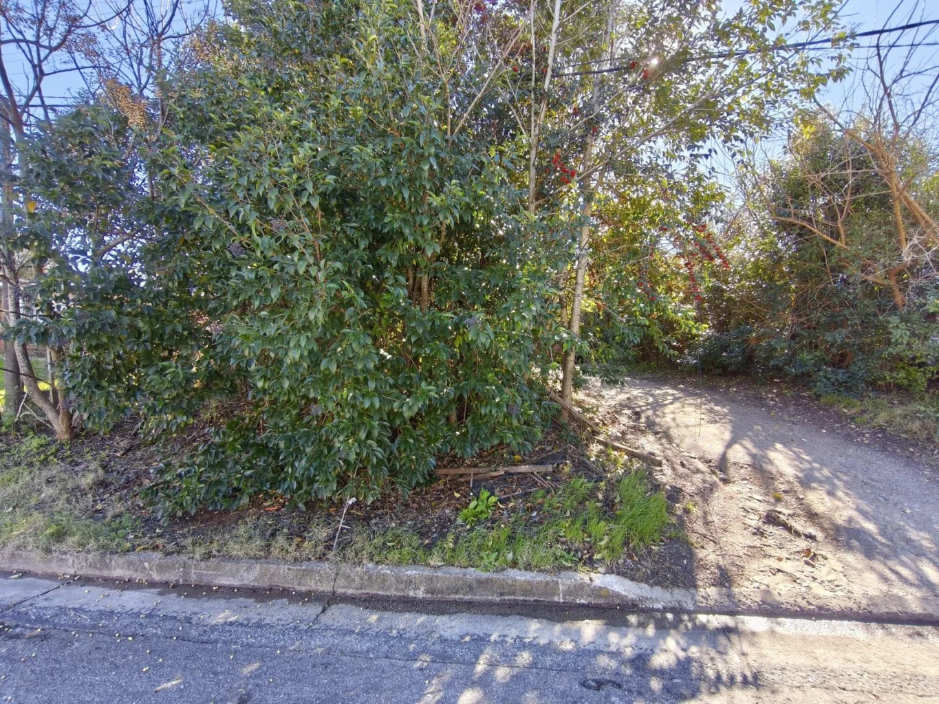 Terreno en Nueva Helvecia, propiedad 289127 -Imagen 4