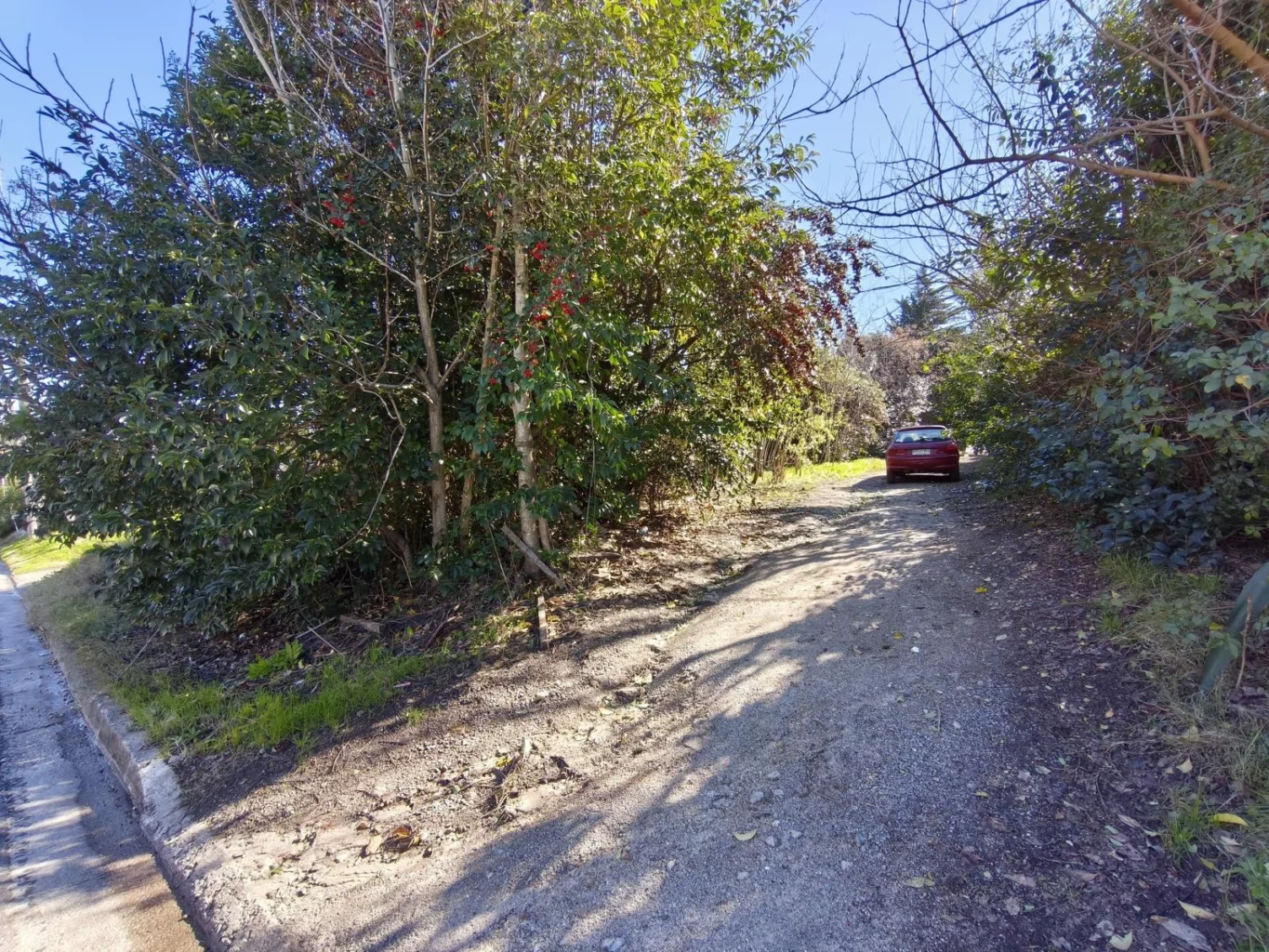 Terreno en Nueva Helvecia, propiedad 289127 -Imagen 5