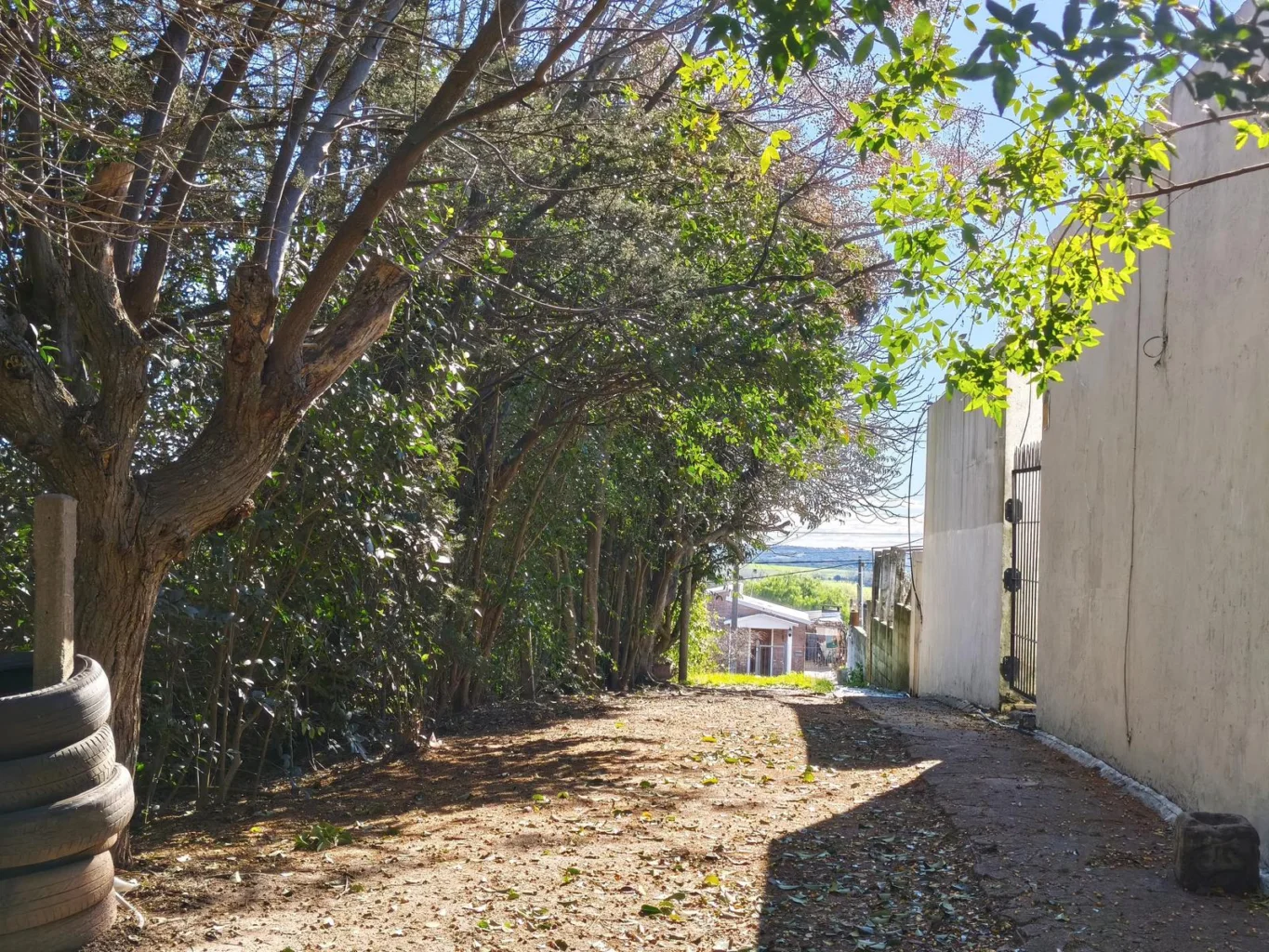 Terreno en Nueva Helvecia, propiedad 289127 -Imagen 7