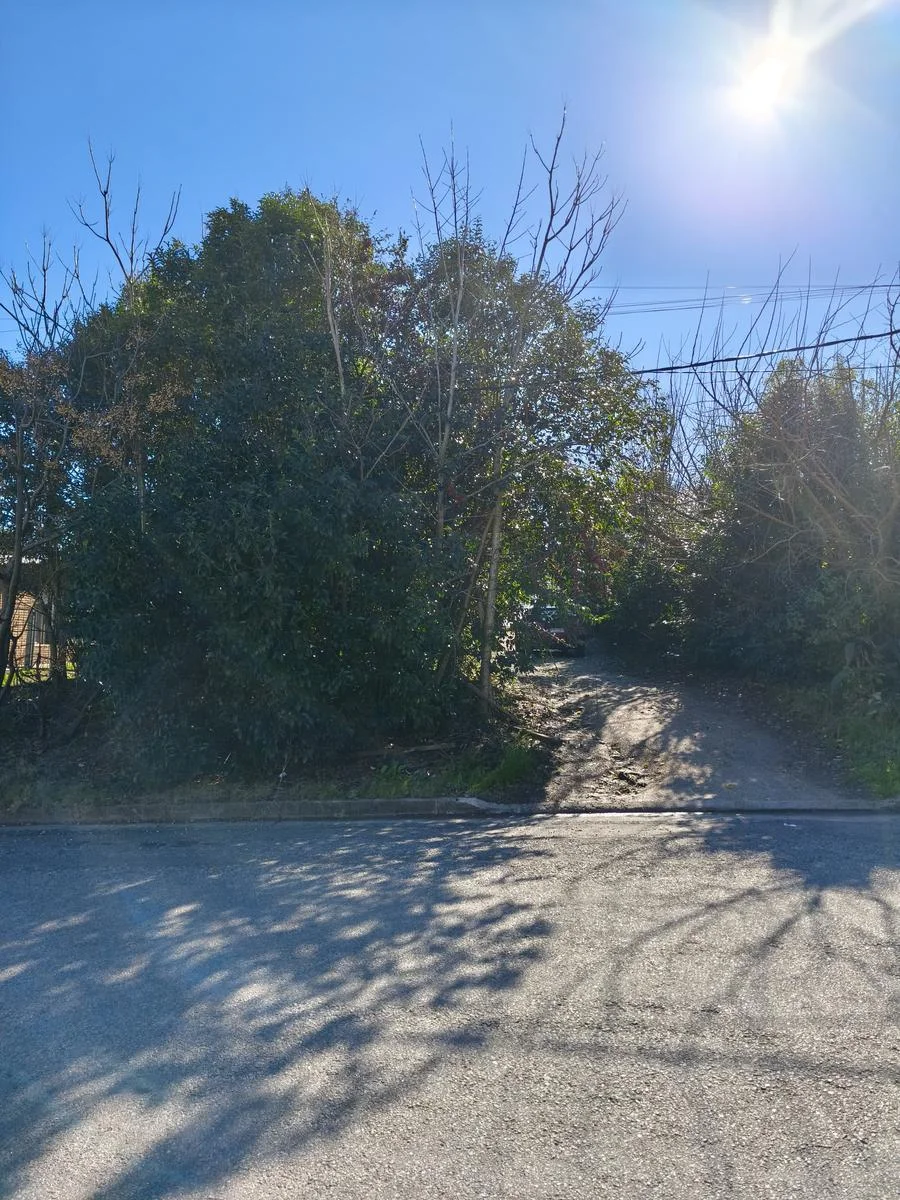 Terreno en Nueva Helvecia, propiedad 289127 -Imagen 9