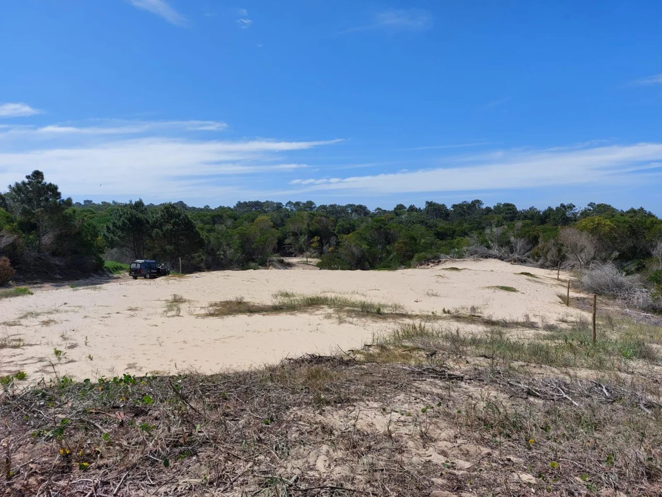 Terreno en La Esmeralda, propiedad 290376 -Imagen 1