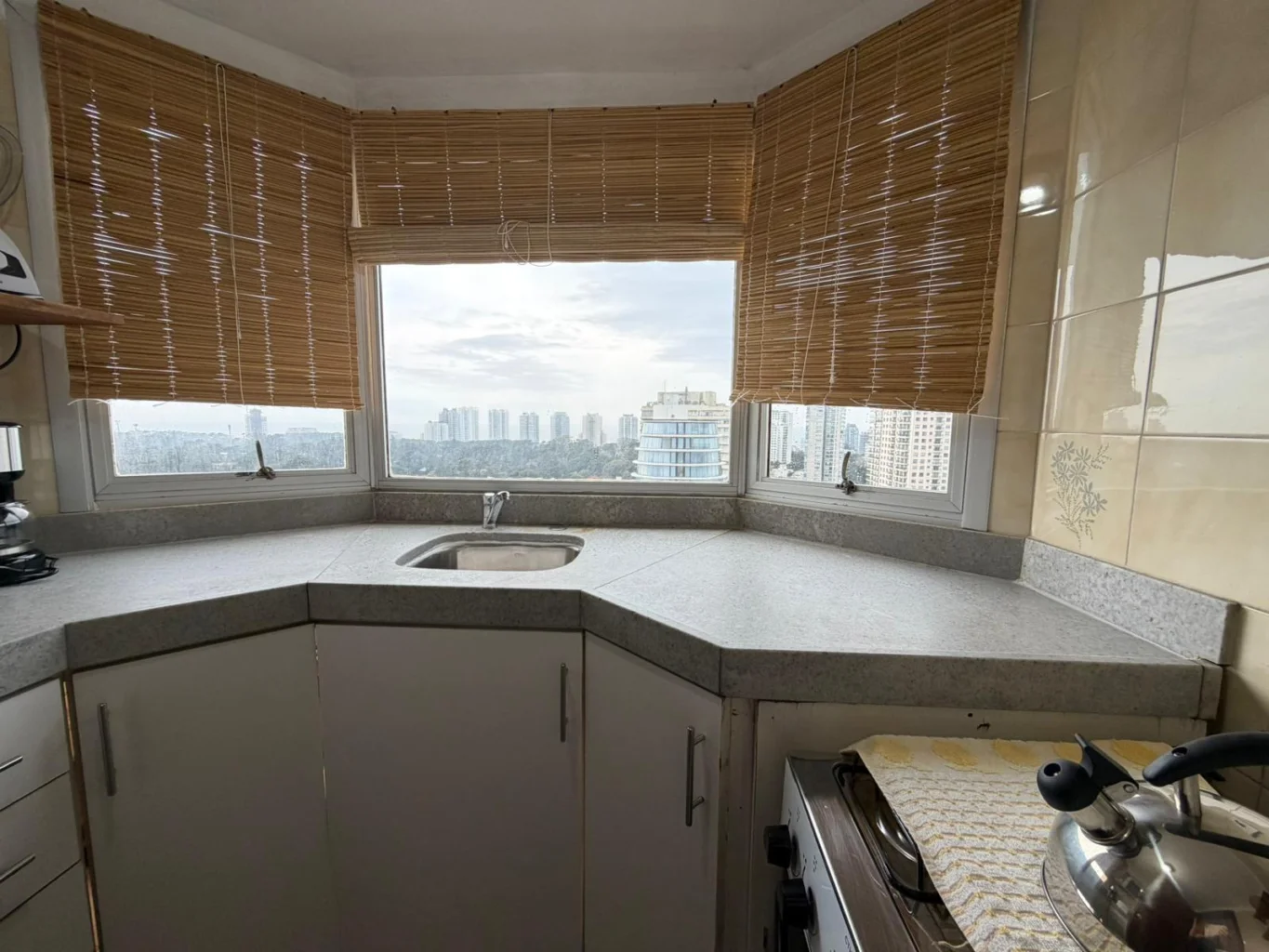 Apartamento en Roosevelt, propiedad 291446 -Imagen 5