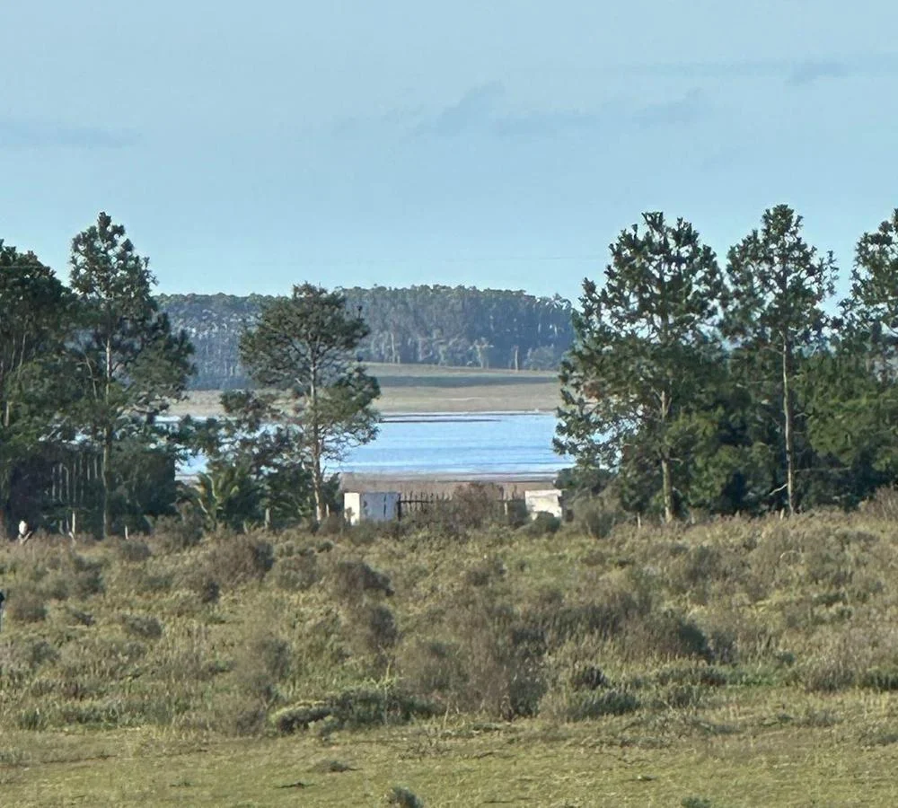 Chacra en Punta del Este, propiedad 291828 -Imagen 7