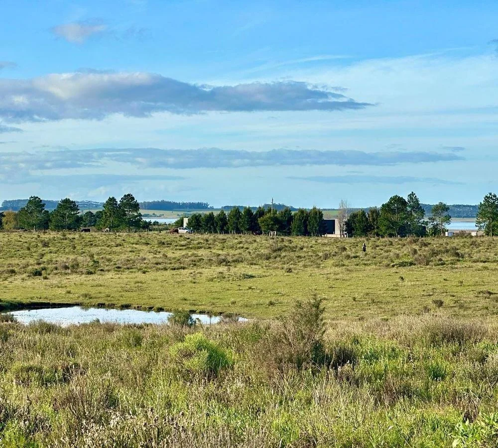 Chacra en Punta del Este, propiedad 291828 -Imagen 8