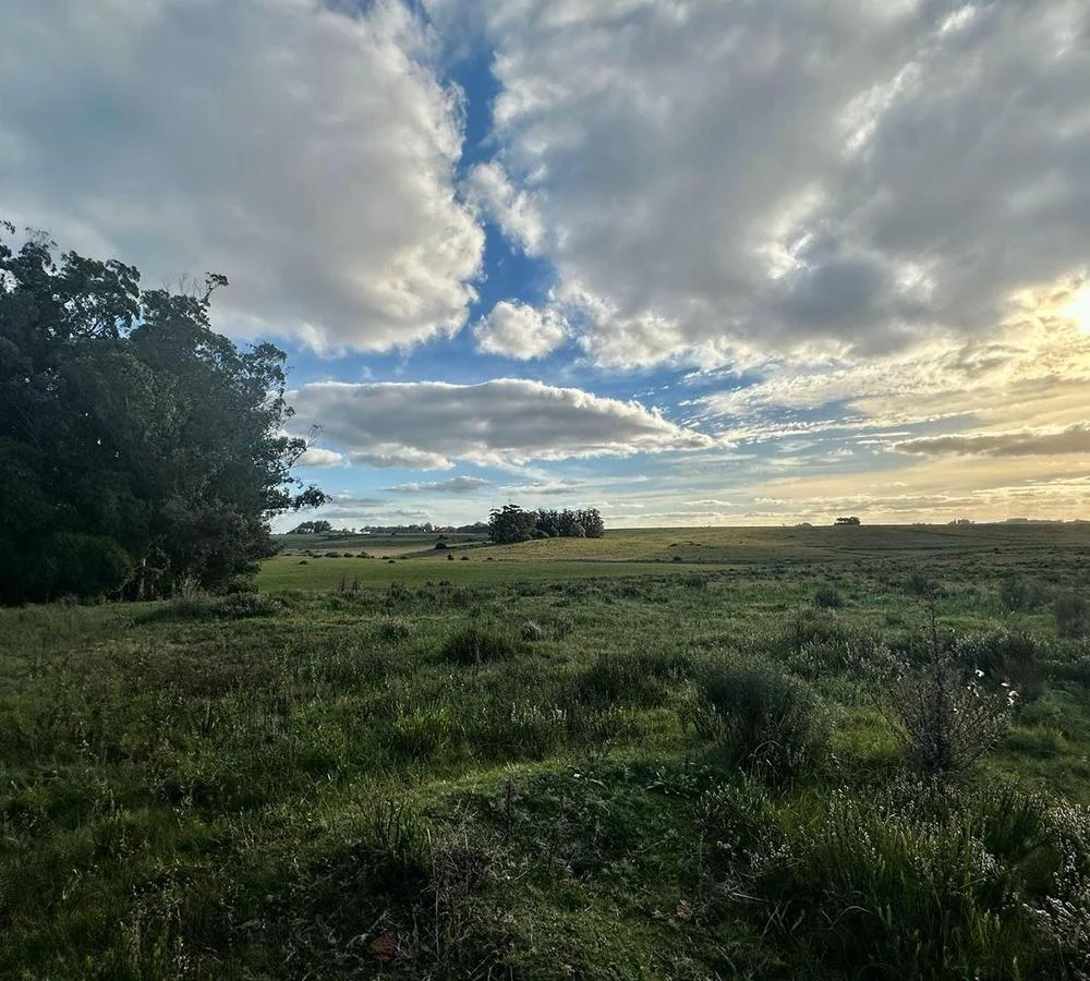 Chacra en José Ignacio, propiedad 291829 -Imagen 1