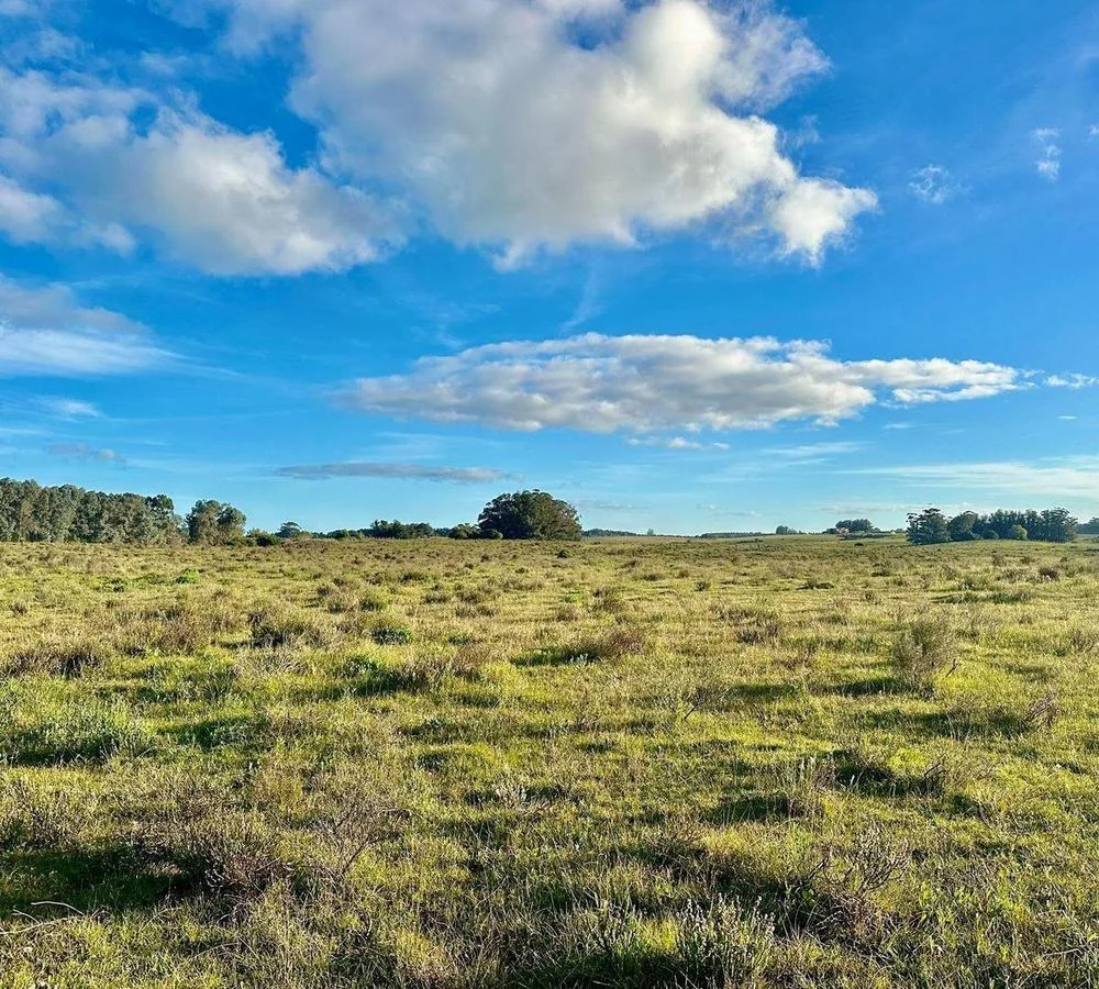 Chacra en José Ignacio, propiedad 291829 -Imagen 2