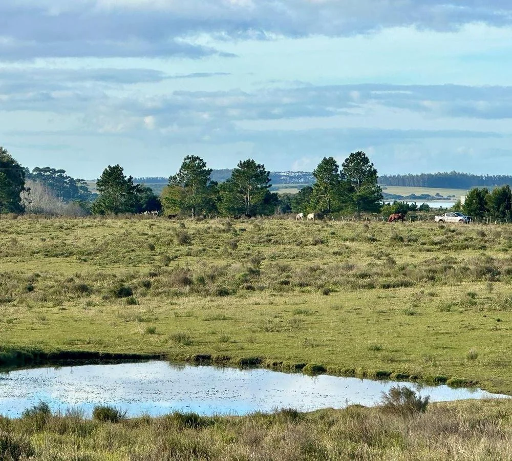 Chacra en José Ignacio, propiedad 291829 -Imagen 7