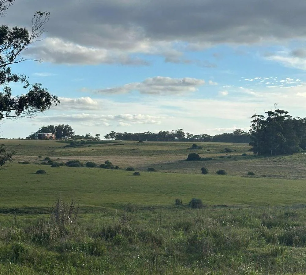 Chacra en José Ignacio, propiedad 291829 -Imagen 8