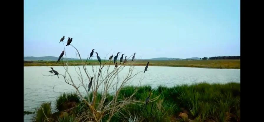 Terreno en Punta Ballena, propiedad 292438 -Imagen 4