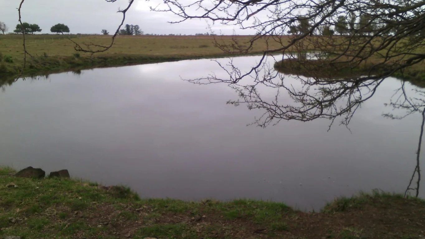 Campo en Salto, propiedad 293309 -Imagen 11