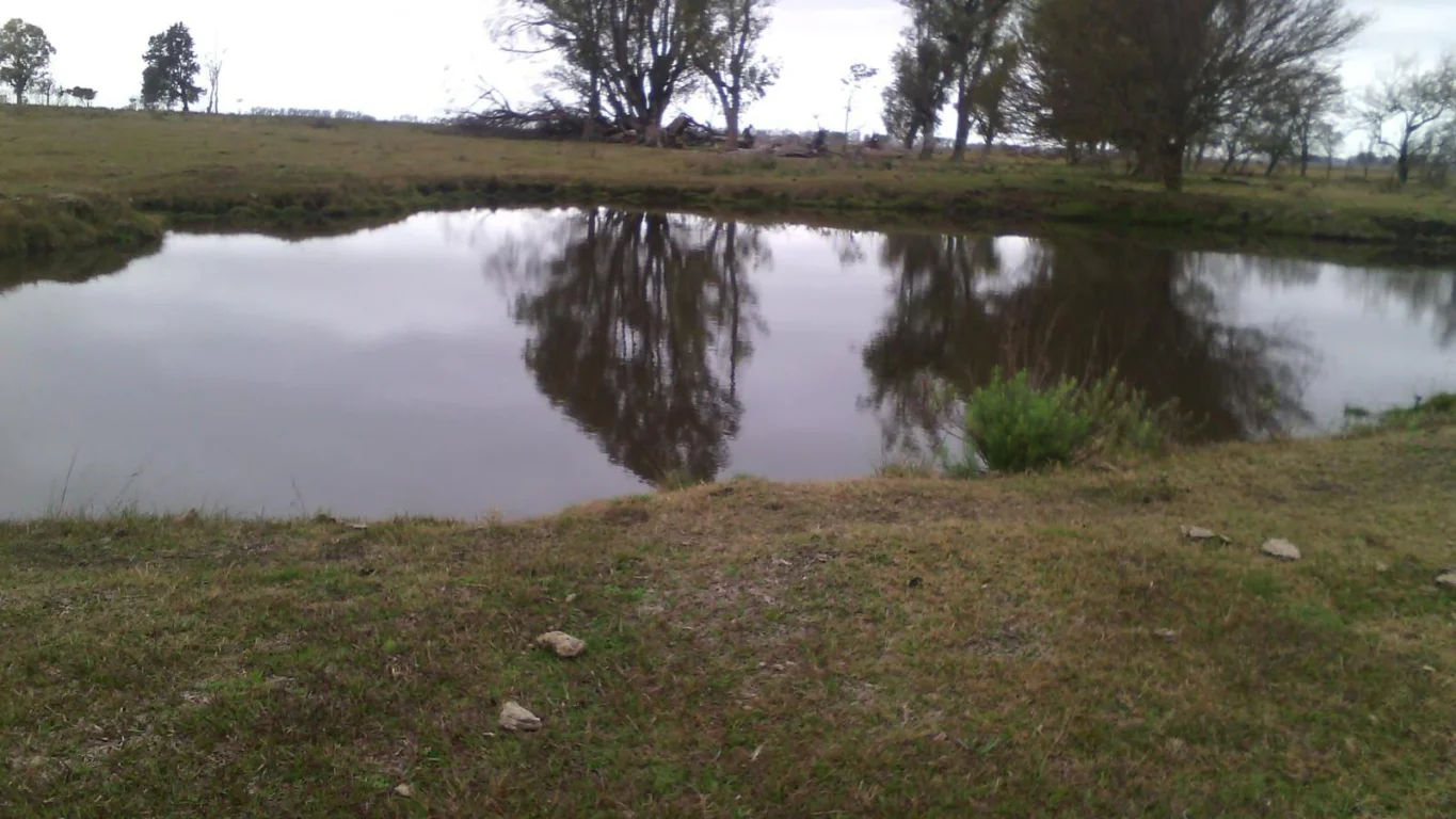 Campo en Salto, propiedad 293309 -Imagen 6