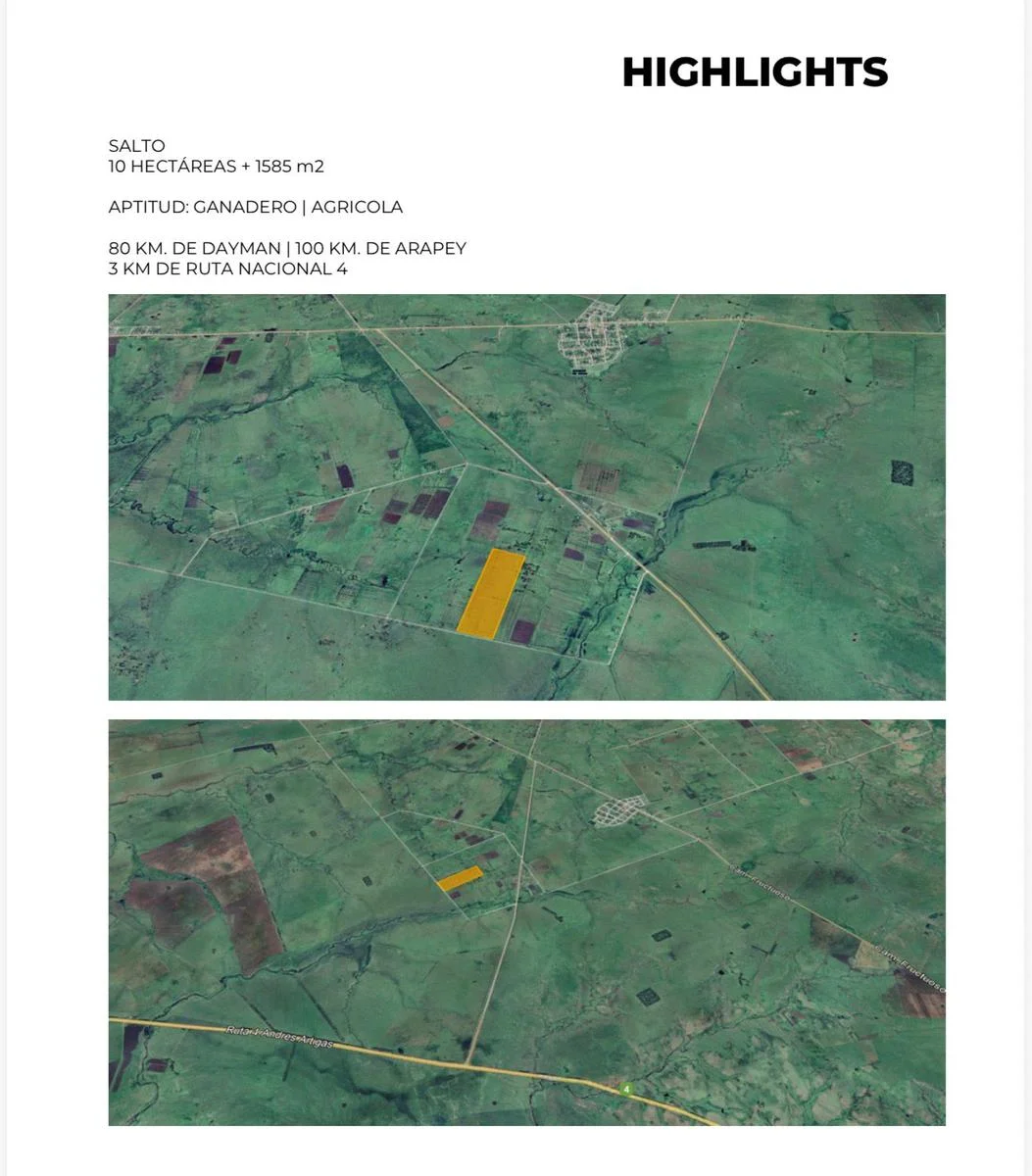 Campo en Salto, propiedad 293309 -Imagen 8