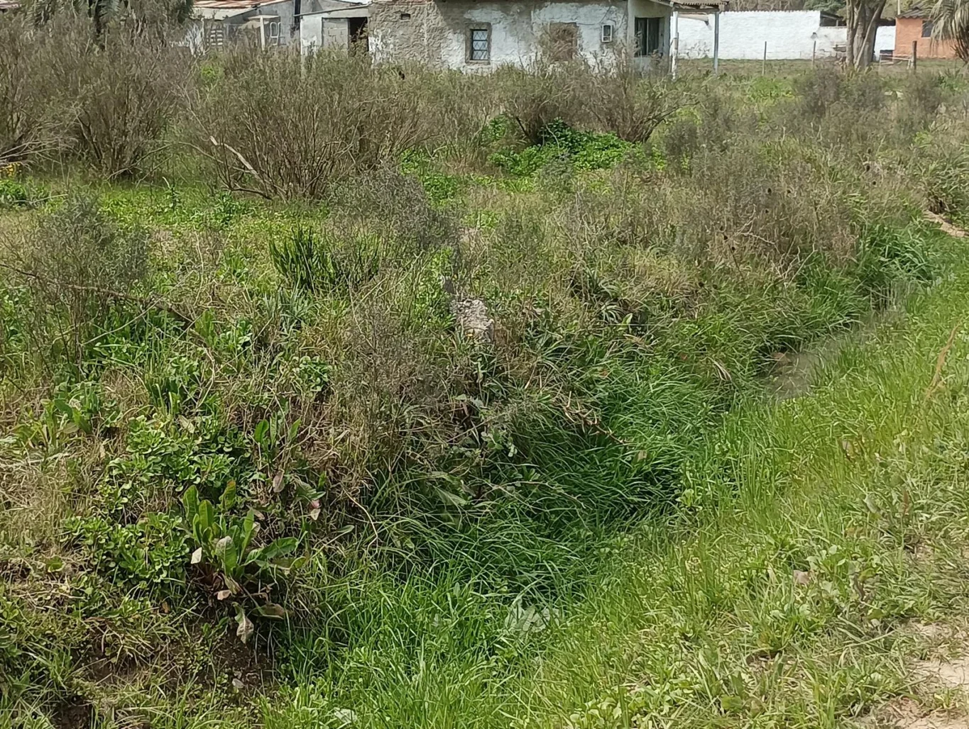 Terreno en Rocha, propiedad 294438 -Imagen 11