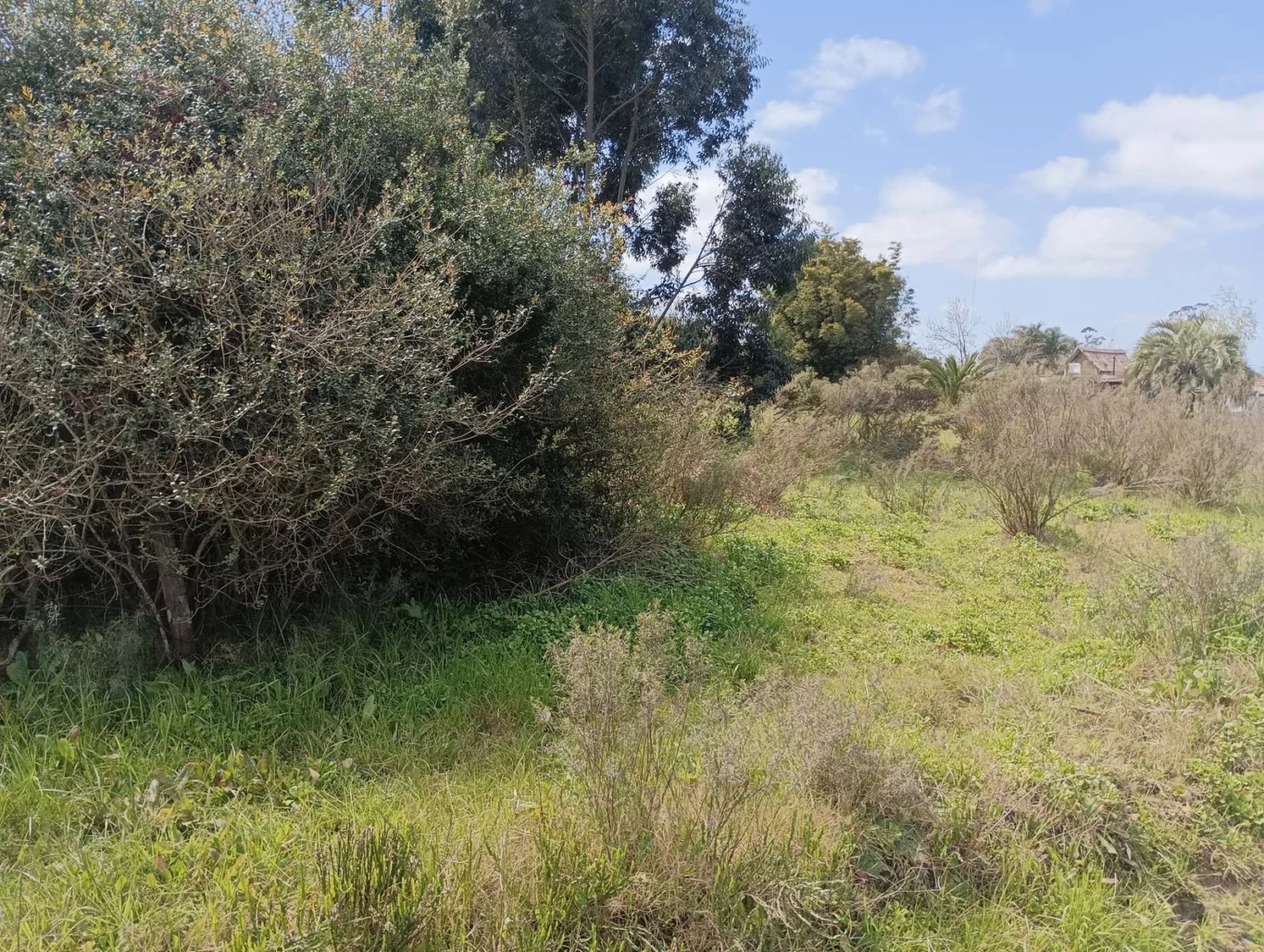 Terreno en Rocha, propiedad 294438 -Imagen 12