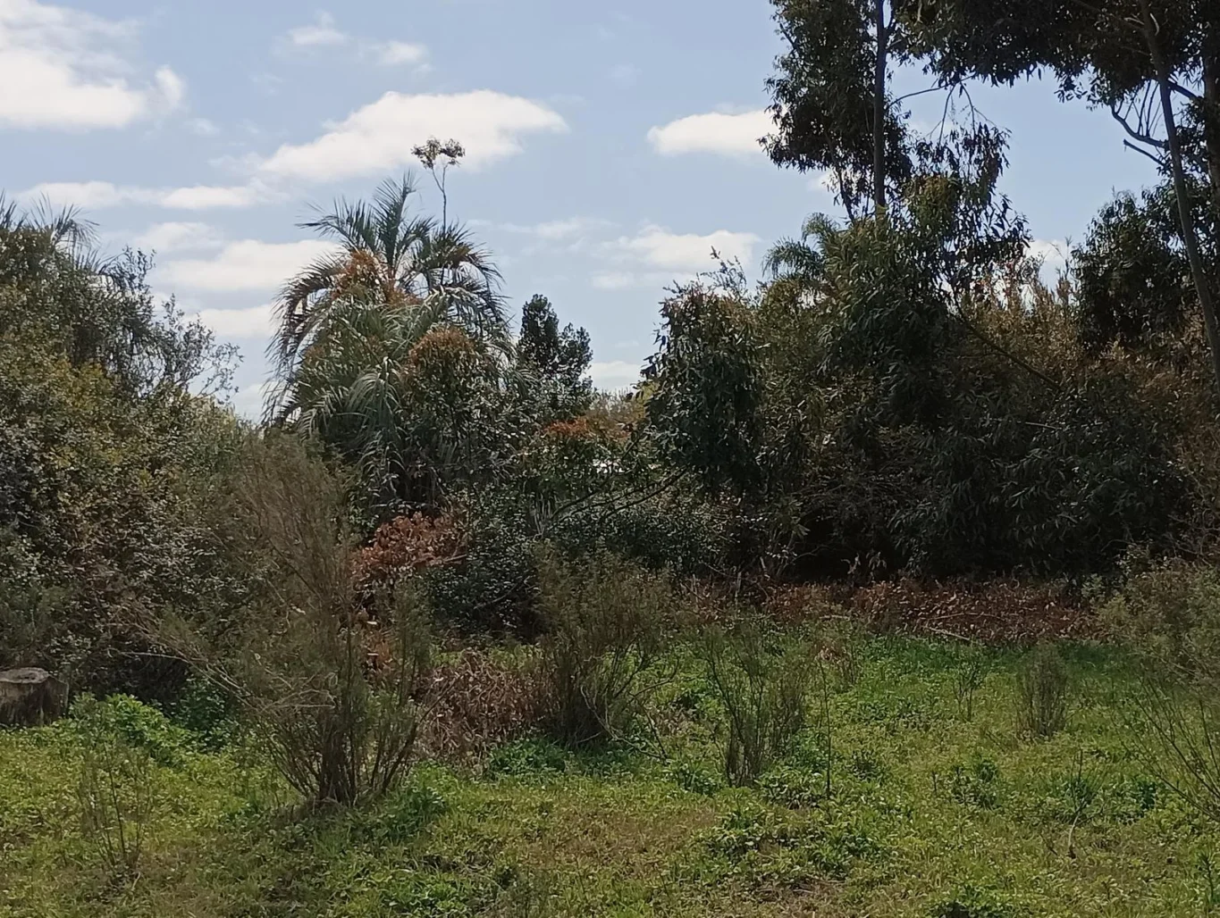 Terreno en Rocha, propiedad 294438 -Imagen 5