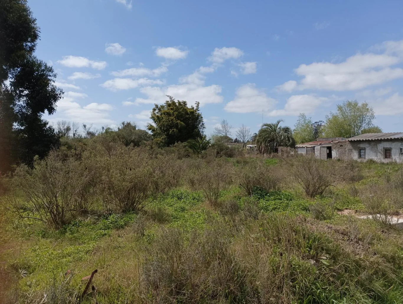 Terreno en Rocha, propiedad 294438 -Imagen 6