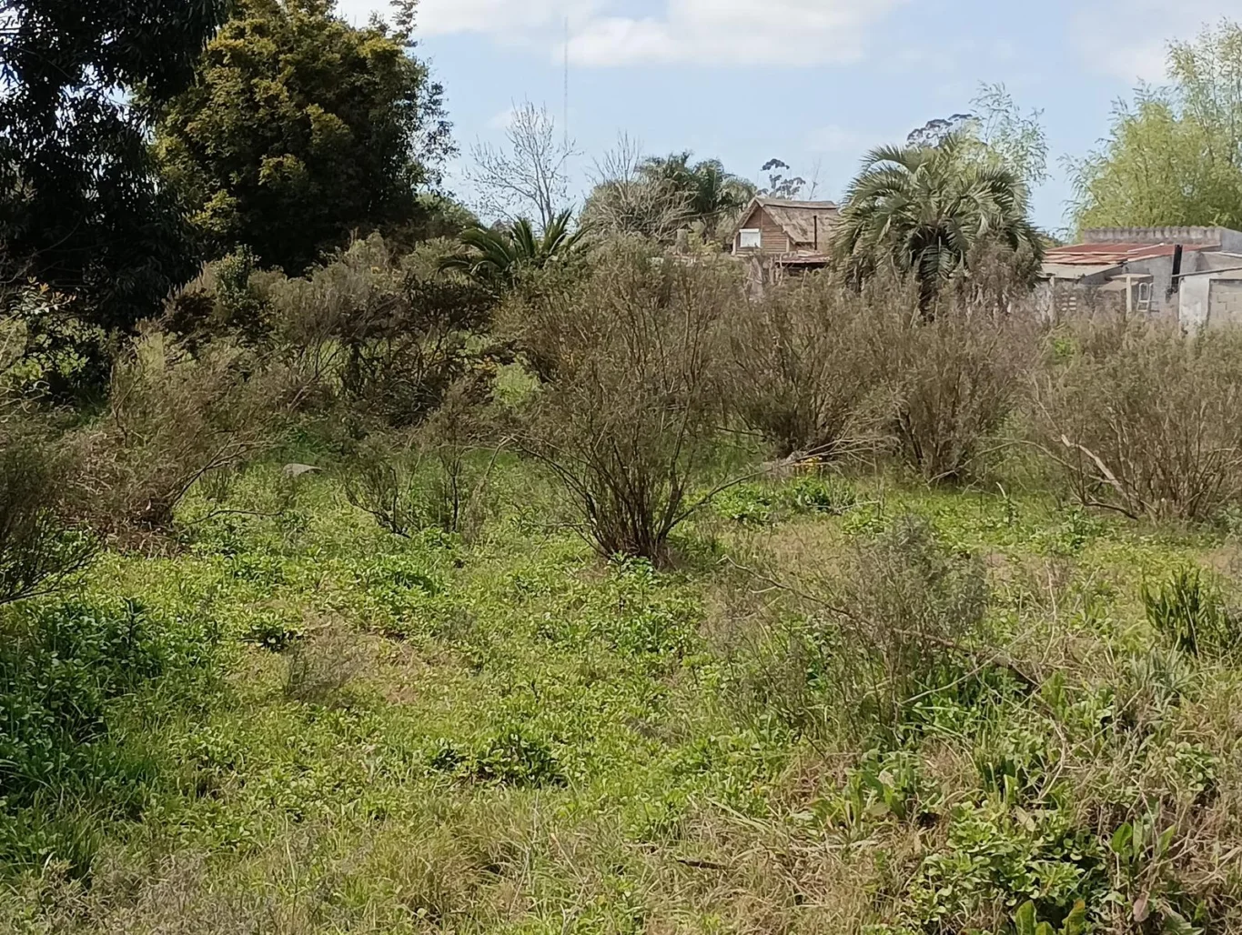 Terreno en Rocha, propiedad 294438 -Imagen 8