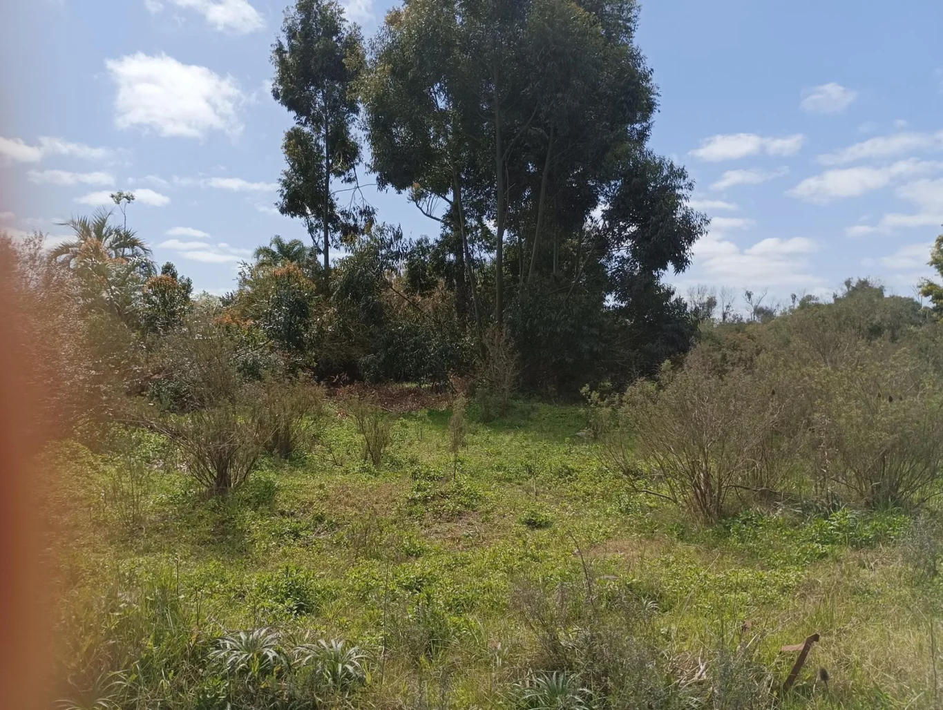 Terreno en Rocha, propiedad 294438 -Imagen 9